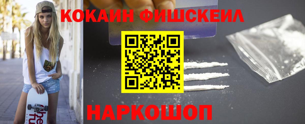 как найти закладки  Димитровград  Cocaine FishScale 