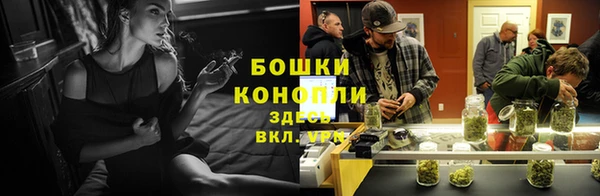крисы Михайловск