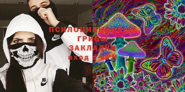 mdma Богородицк