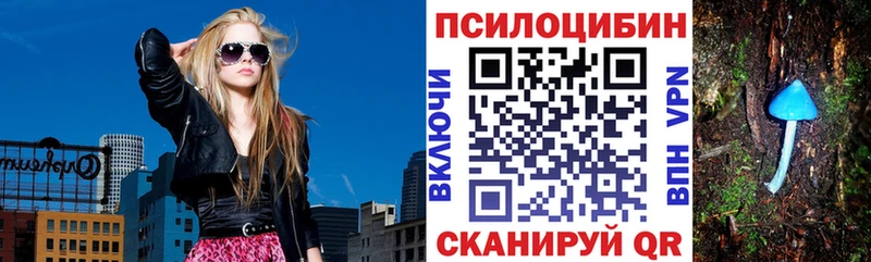 купить  цена  Димитровград  Галлюциногенные грибы прущие грибы 