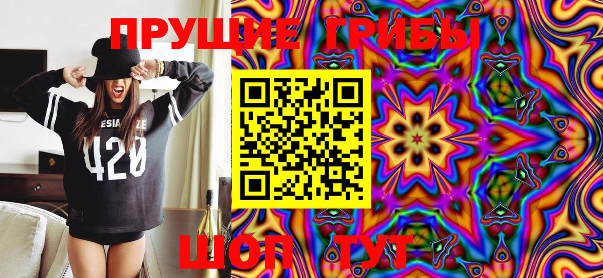 Псилоцибиновые грибы Magic Shrooms  Димитровград 