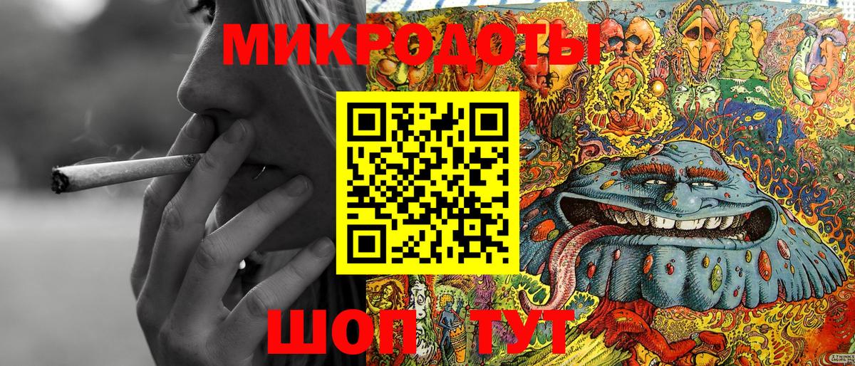 Галлюциногенные грибы Psilocybe Димитровград