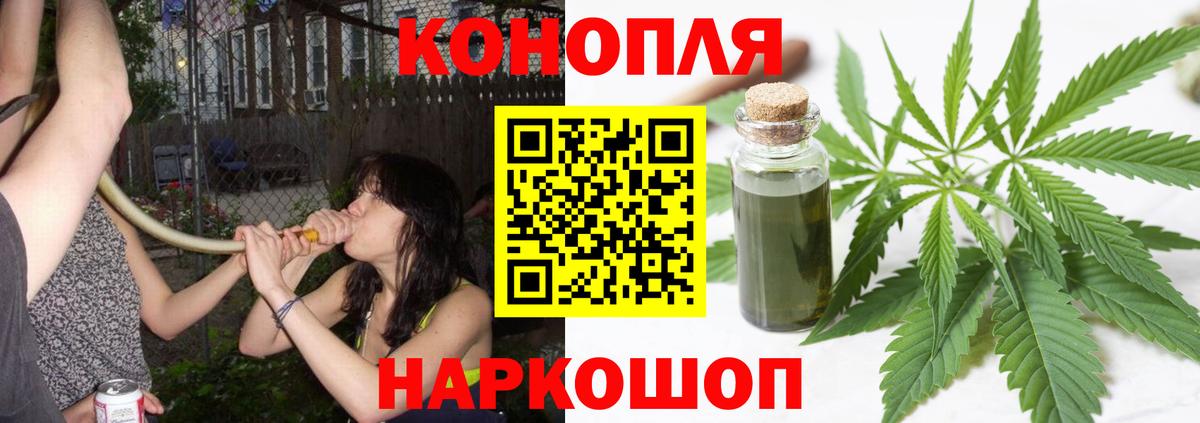 Бошки марихуана марихуана Димитровград